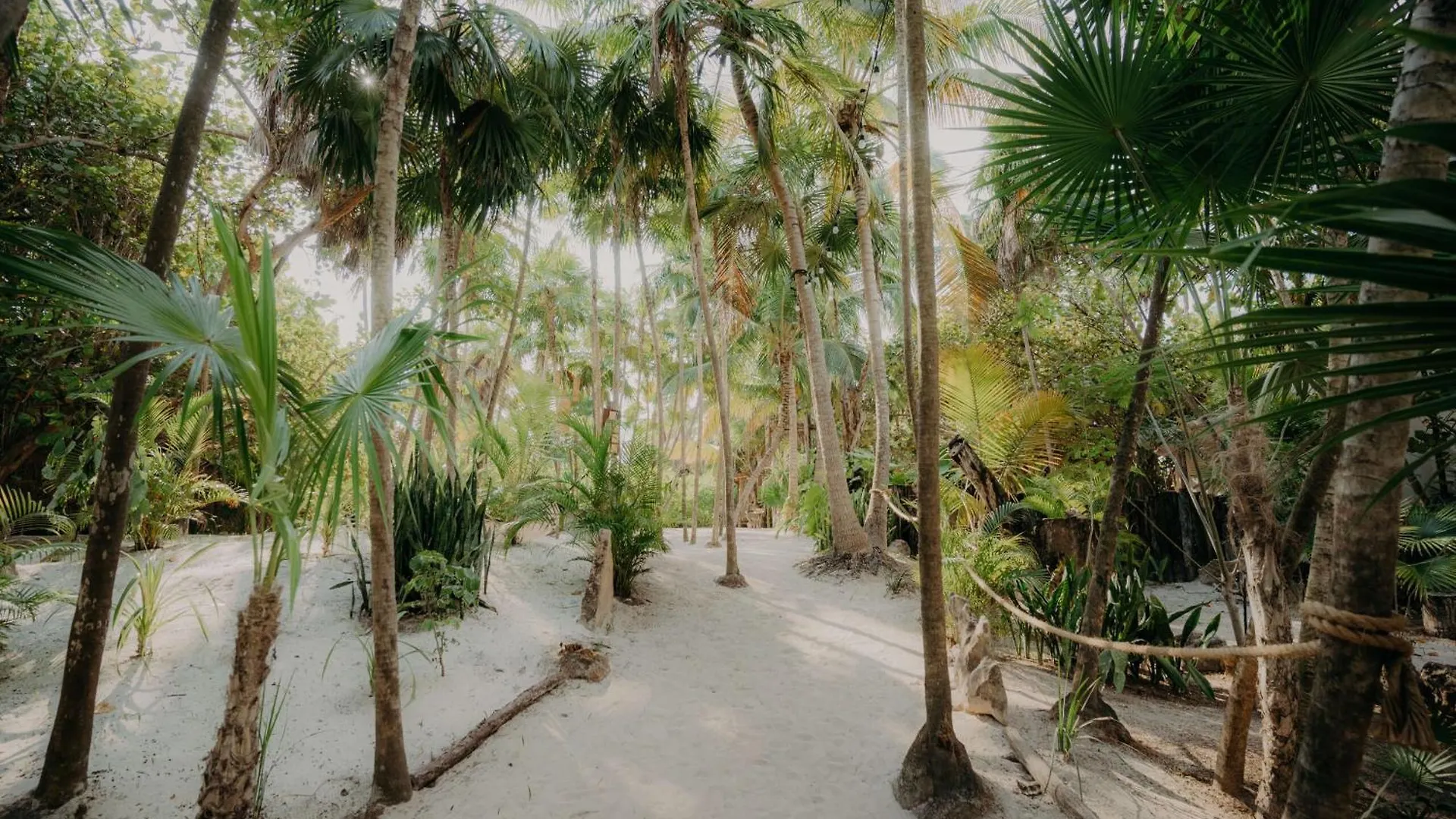Apartment Jungle Penthouse With Private Rooftop Pool Tulum Mexico