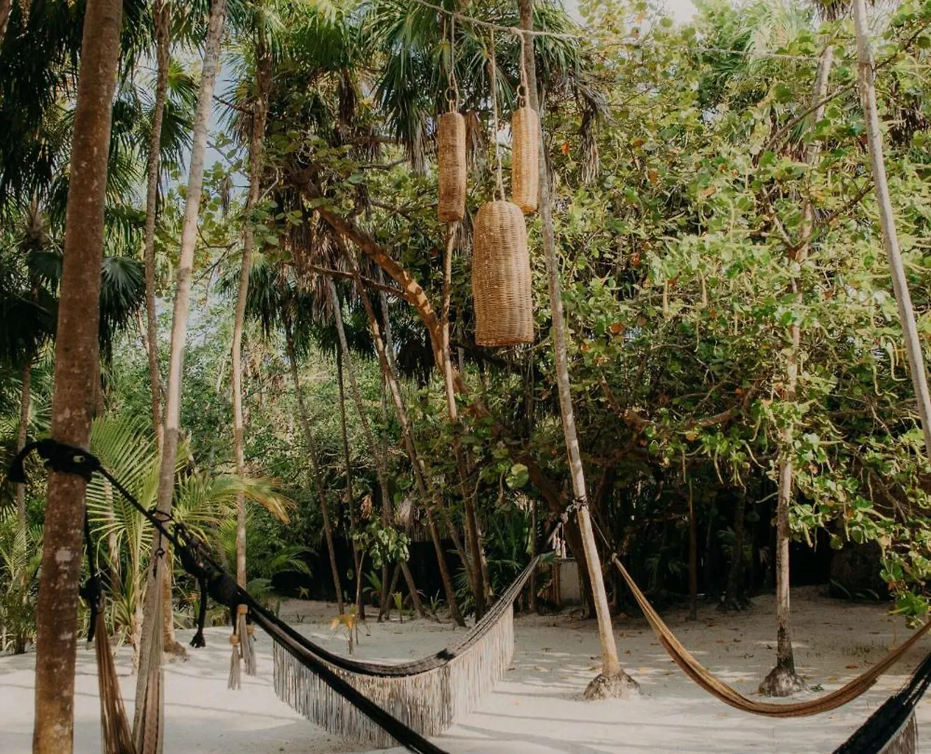 Apartment Jungle Penthouse With Private Rooftop Pool Tulum