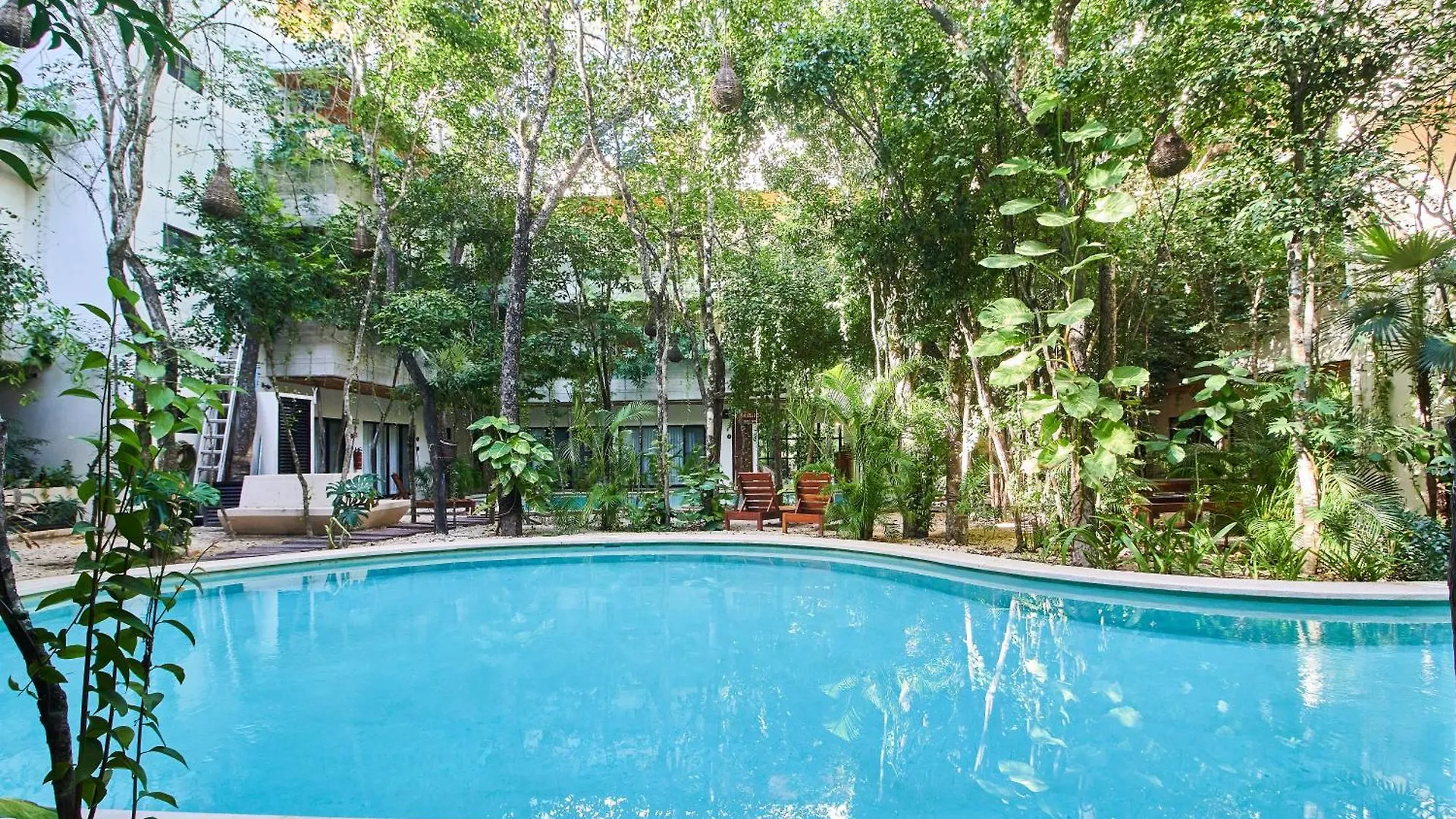 Jungle Penthouse With Private Rooftop Pool Tulum 0*,